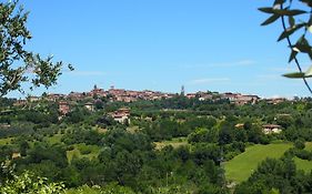 Nell'Antica Torre Di Fronte A Siena